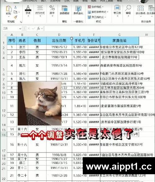 原来Excel表格还能这么调整！白加班了?