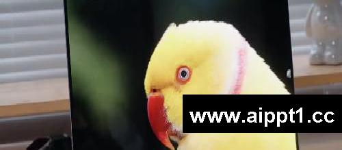视频剪辑自媒体怎么选笔记本？全干货被问爆