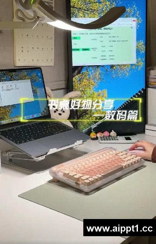 被追着问的【竖屏显示器】和【配件】来噜!