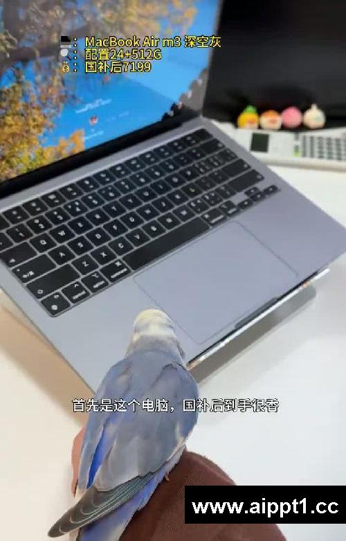 被追着问的【竖屏显示器】和【配件】来噜!
